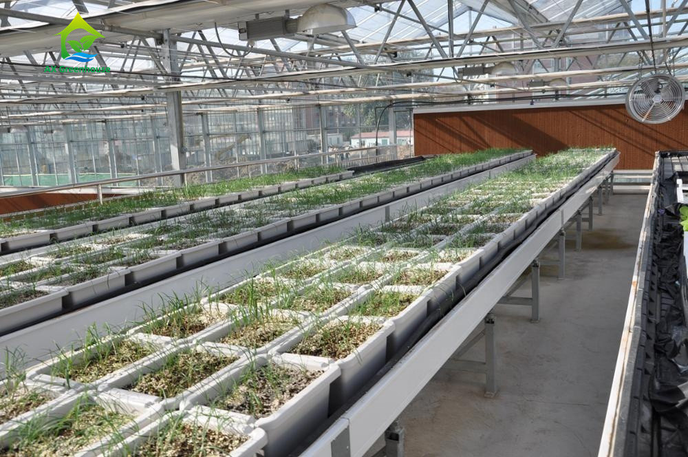 Nahrungsmittelgrad 3.0-5.0mm starke Wasserkulturgosse PVCs NFT für Erdbeeren