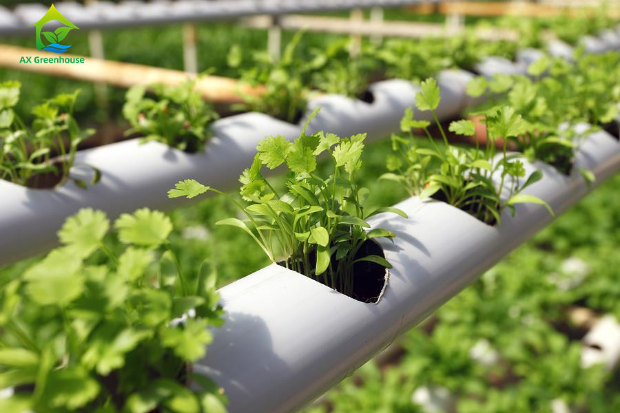Soilless Indoor Farming Erdbeeren wachsen PVC-Rohr für Hydroponik NFT-System zum Verkauf