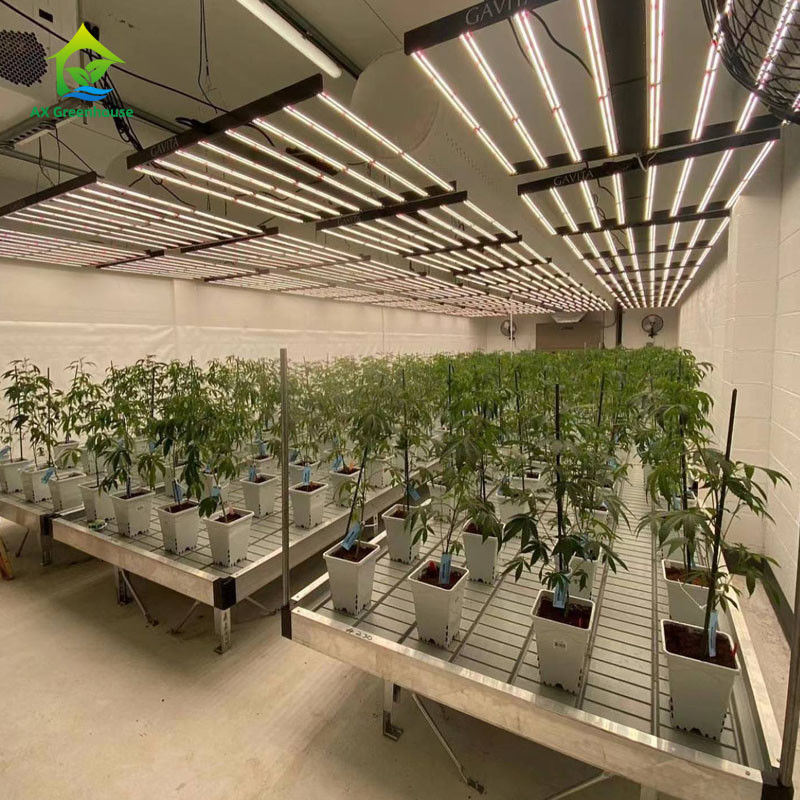 Stabile, umweltfreundliche Treibhauswalzbänke mit ABS-Plastikblech und Aluminiumlegierungsrahmen in anpassbaren Größen