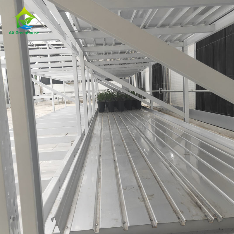Innenraum-Doppelschicht-Gemüse-Heilkräuter-Grower-Rack für vertikalen Anbau
