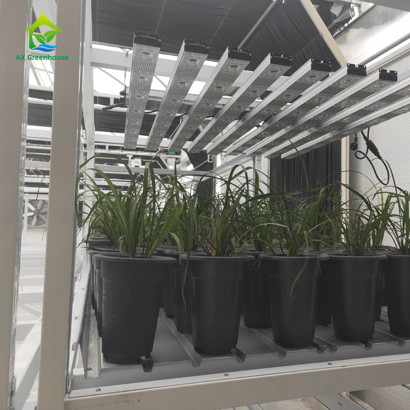 Innenraum-Doppelschicht-Gemüse-Heilkräuter-Grower-Rack für vertikalen Anbau