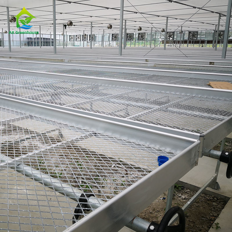 Landwirtschaftliche Gewerbe-Indoor Mesh Draht Gewächshaus wachsen Tisch Rollbank für die Aussaat