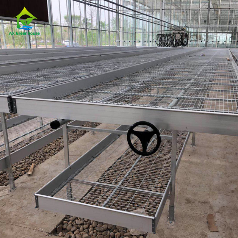 Landwirtschaftliche Gewerbe-Indoor Mesh Draht Gewächshaus wachsen Tisch Rollbank für die Aussaat